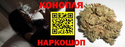 сатива Кулебаки