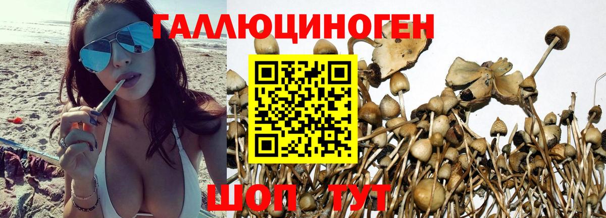 Галлюциногенные грибы ЛСД  Вход с VPN  Зеленокумск 
