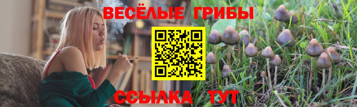 Галлюциногенные грибы MAGIC MUSHROOMS Зеленокумск
